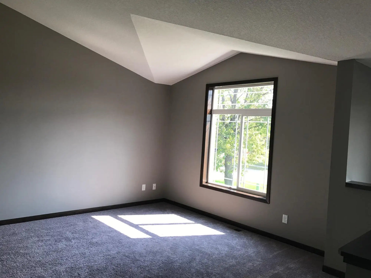 1317 Tiger Court, Isanti, MN 55040