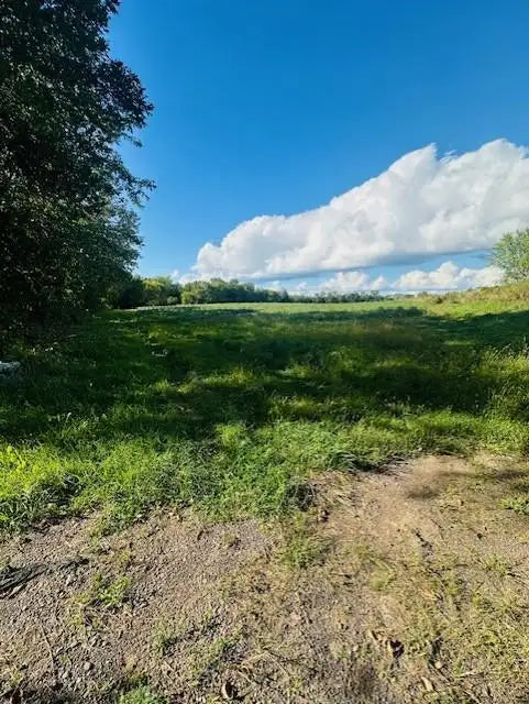 8XXX Rushseba Trail, Rushseba Twp, MN 55069