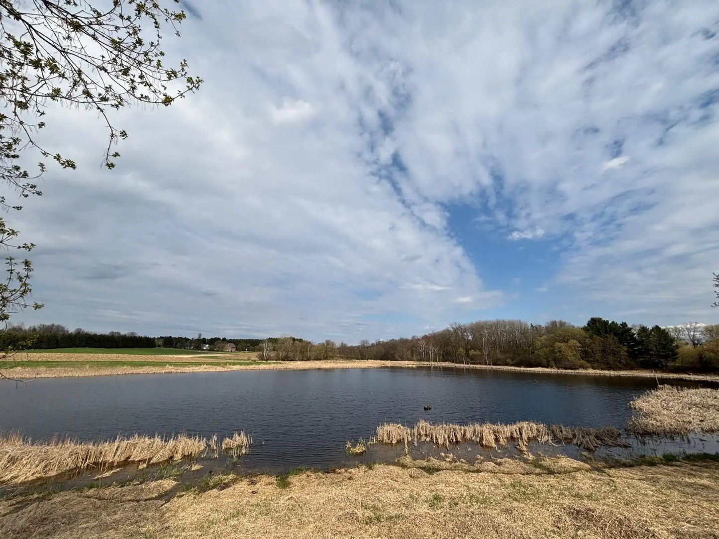 26xx3 Pheasant Run, Franconia Twp, MN 55045